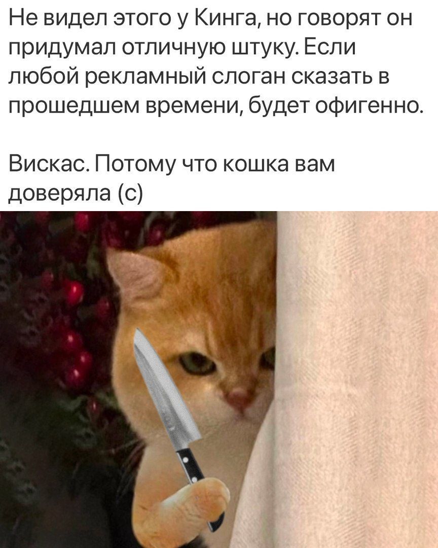 Не видел этого у Кинга, но говорят он придумал отличную штуку. Если любой рекламный слоган сказать в прошедшем времени, будет офигенно. Вискaс. Потому что кошка вам доверял (с)