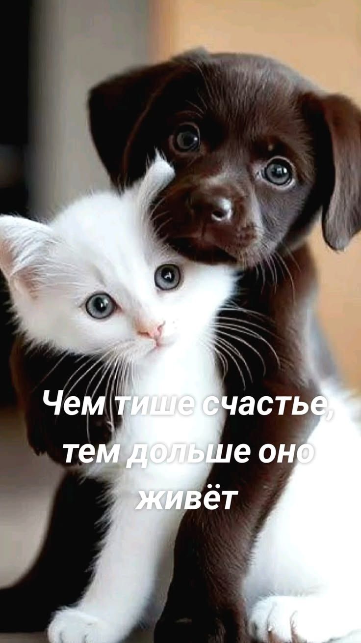 Чем тише счастье, тем дольше оно живёт