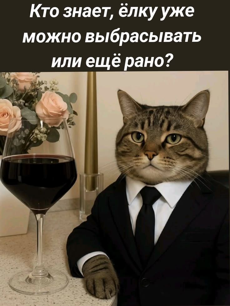 Кто знает, ёлку уже можно выбрасывать или ещё рано?