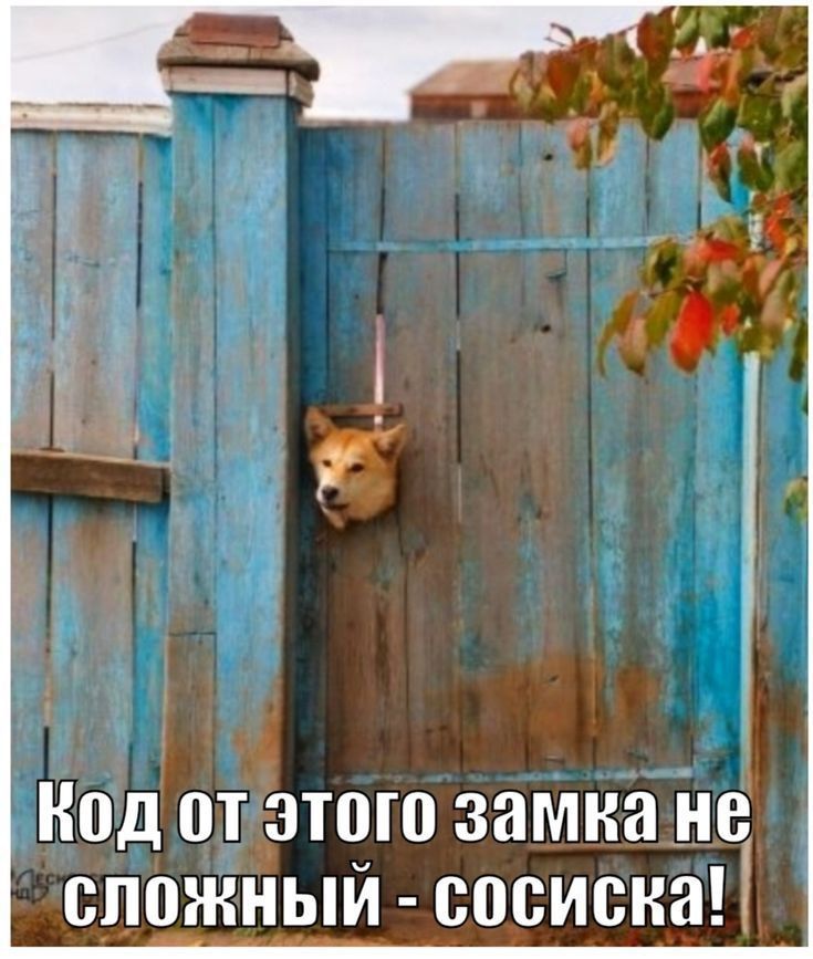 Код от этого замка не сложный - сосиска!