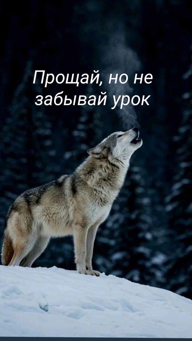 Прощай, но не забывай урок