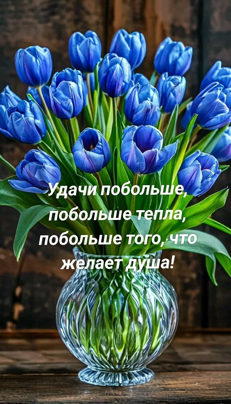 Удачи побольше, побольше тепла, побольше того, что желает душа!