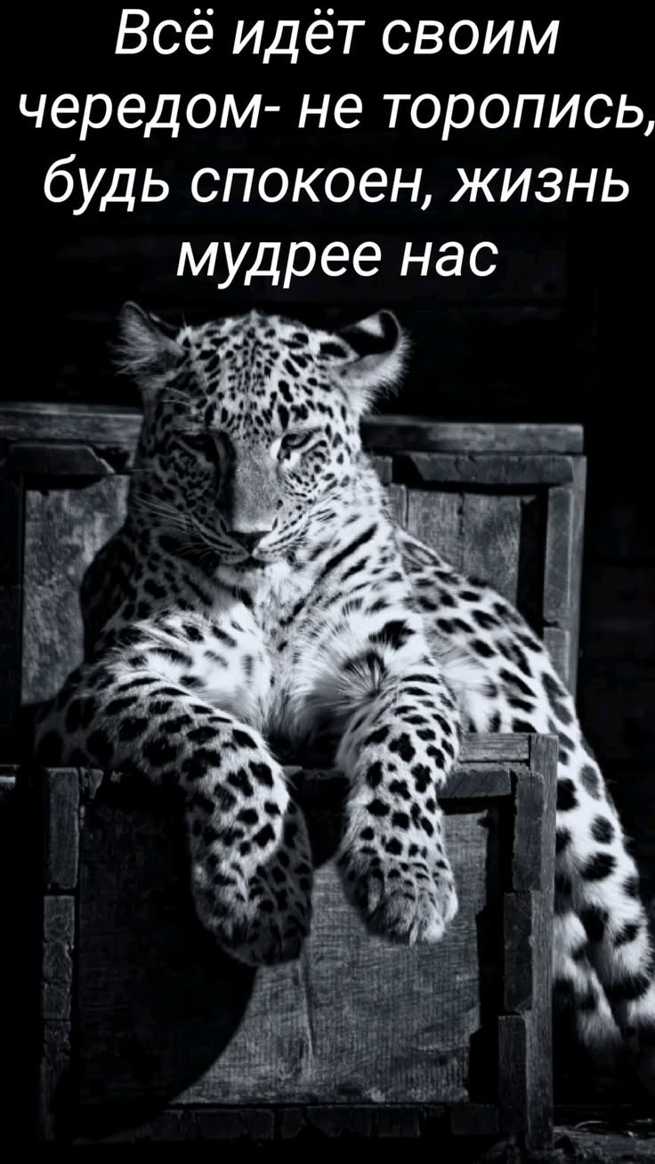 Всё идёт своим чередом- не торопись, будь спокоен, жизнь мудрее нас