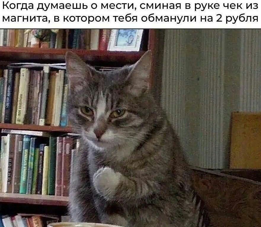 Когда думаешь о мести, сминая в руке чек из магнита, в котором тебя обманули на 2 рубля