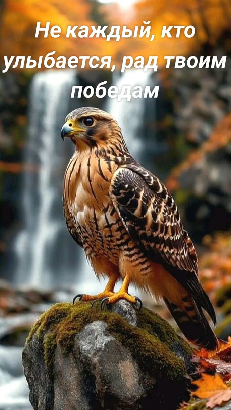 Не каждый, кто улыбается, рад твоим победам