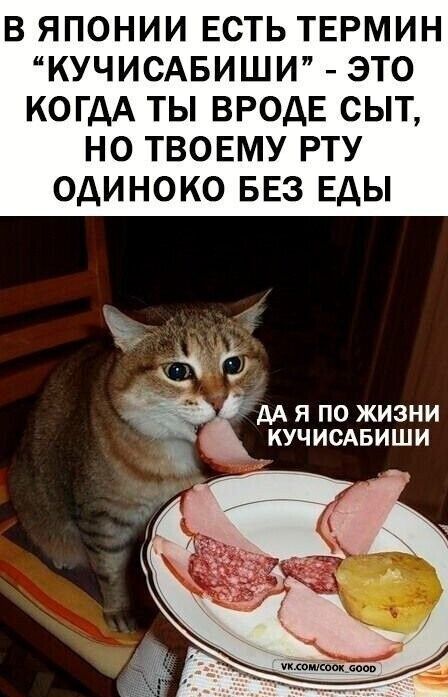 В ЯПОНИИ ЕСТЬ ТЕРМИН 