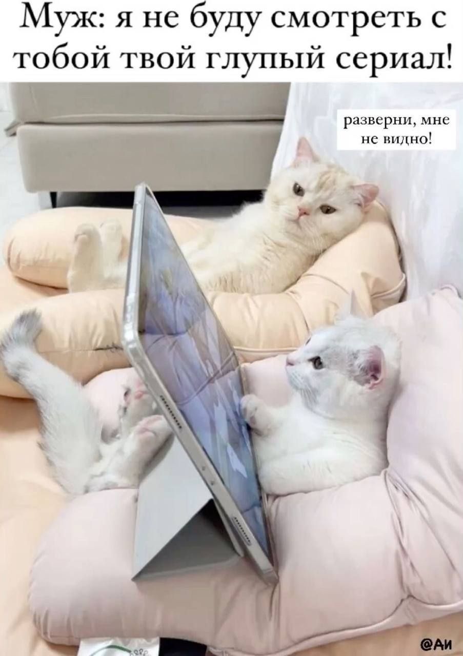 Муж: я не буду смотреть с тобой твой глупый сериал!
разверни, мне не видно!