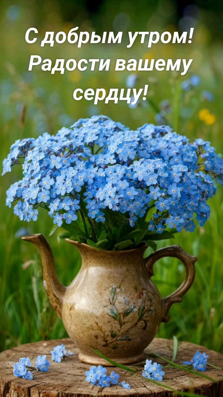С добрым утром! Радости вашему сердцу!