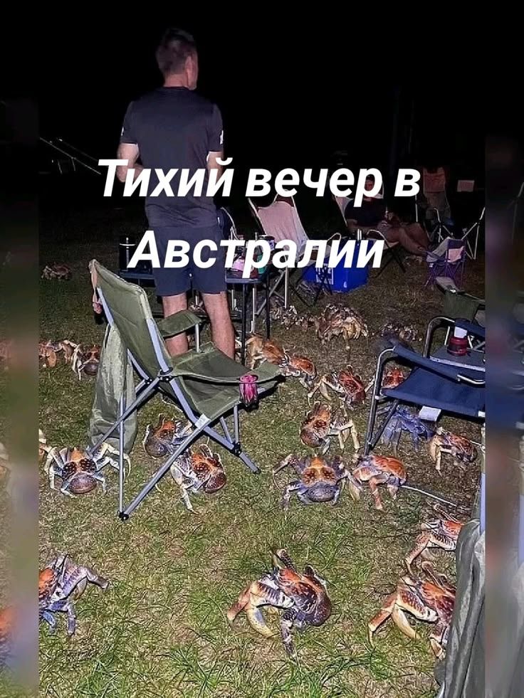 Тихий вечер в Австралии