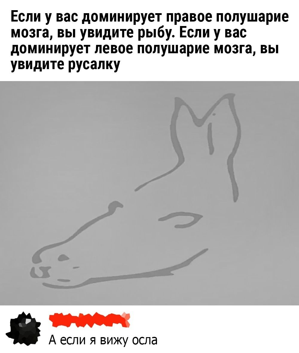 Если у вас доминирует правое полушарие мозга, вы увидите рыбу. Если у вас доминирует левое полушарие мозга, вы увидите русалку\nА если я вижу осла