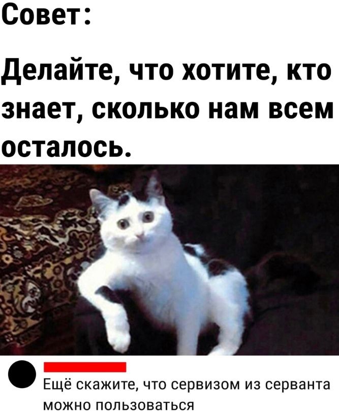 Совет: Делайте, что хотите, кто знает, сколько нам всем осталось. Ещё скажите, что сервизом из сервантa можно пользоваться