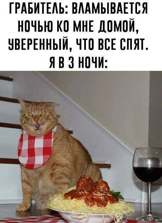 ГРАБИТЕЛЬ: ВЛАМЫВАЕТСЯ НОЧЬЮ КО МНЕ ДОМОЙ, УВЕРЕННЫЙ, ЧТО ВСЕ СПЯТ. Я В 3 НОЧИ:
