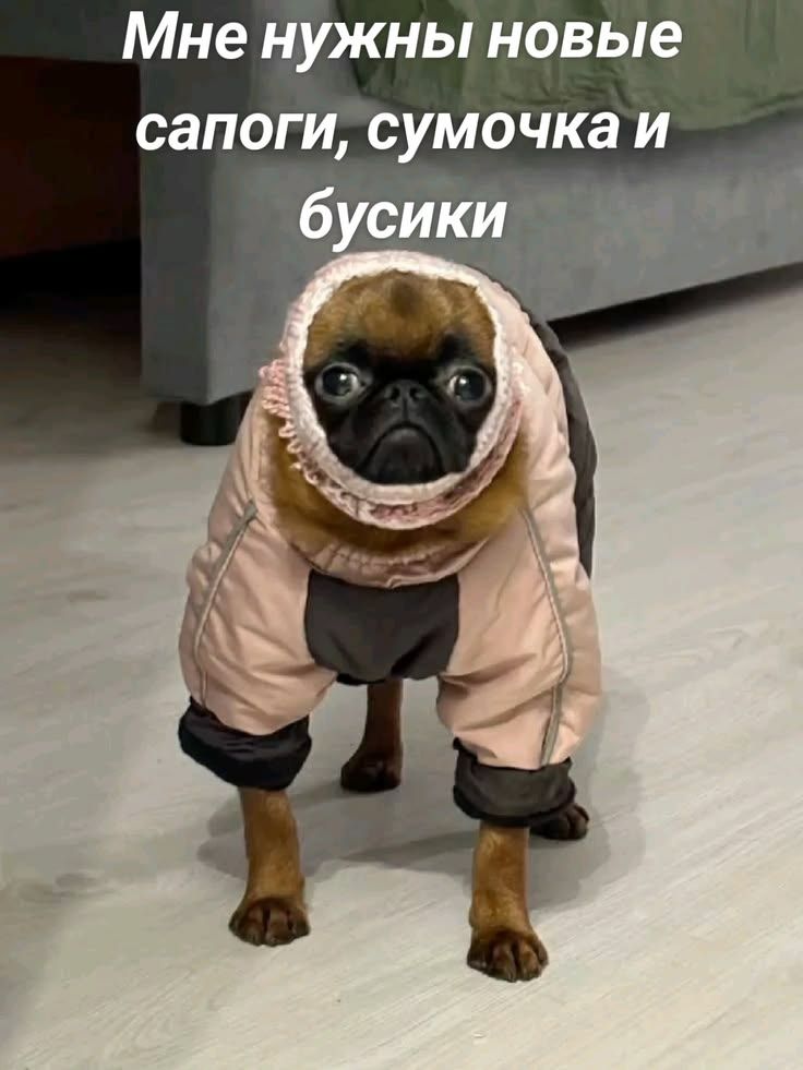 Мне нужны новые сапоги, сумочка и бусики