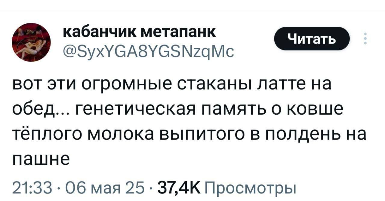 вот эти огромные стаканы латте на обед... генетическая память о ковше тёплого молока выпитого в полдень на пастбище