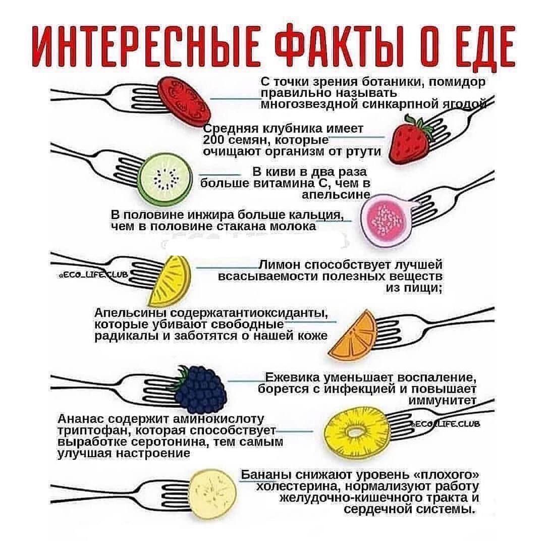 ИНТЕРЕСНЫЕ ФАКТЫ О ЕДЕ. С точки зрения ботаники, помидор правильно называть ягодой. Средняя клубника имеет 200 семян. Апельсины содержат полезные вещества, поддерживают иммунитет. Лимон способствует лучшей всасываемости полезных веществ. Бананы снижают уровень плохого холестерина.