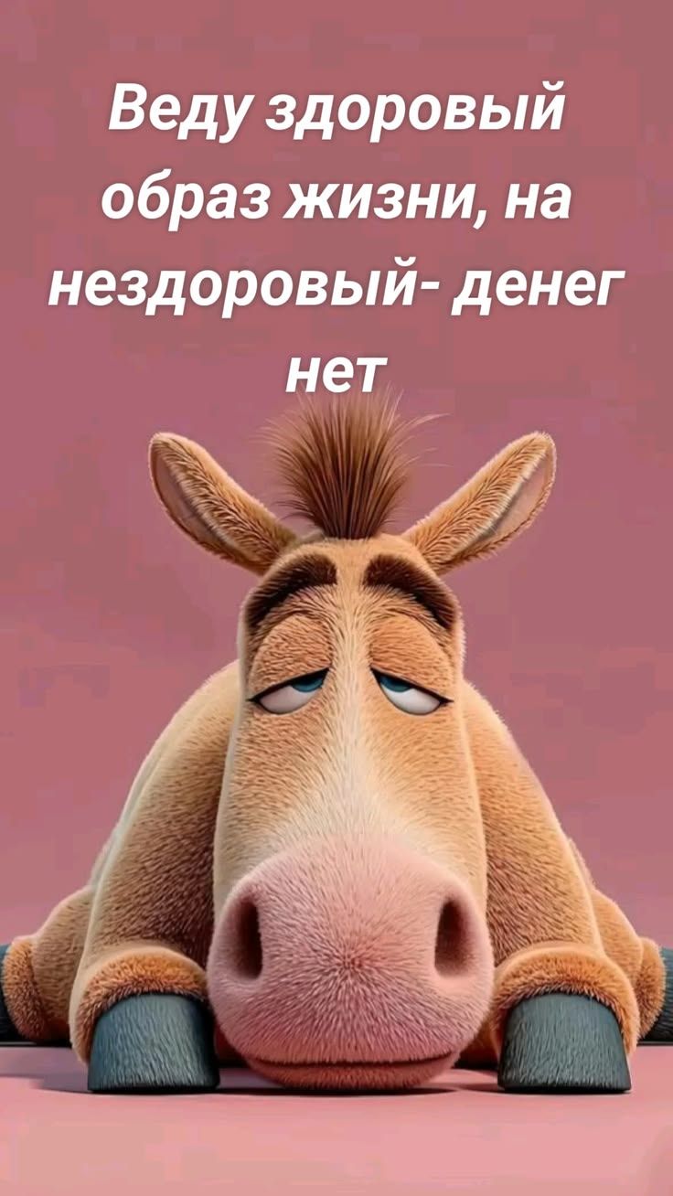 Веду здоровый образ жизни, на нездоровый- денег нет
