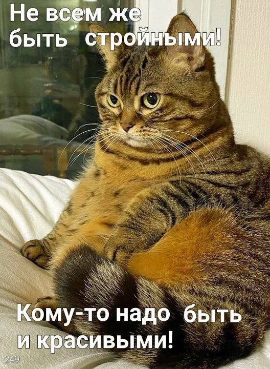 Не всем же быть стройными! Кому-то надо быть и красивыми!