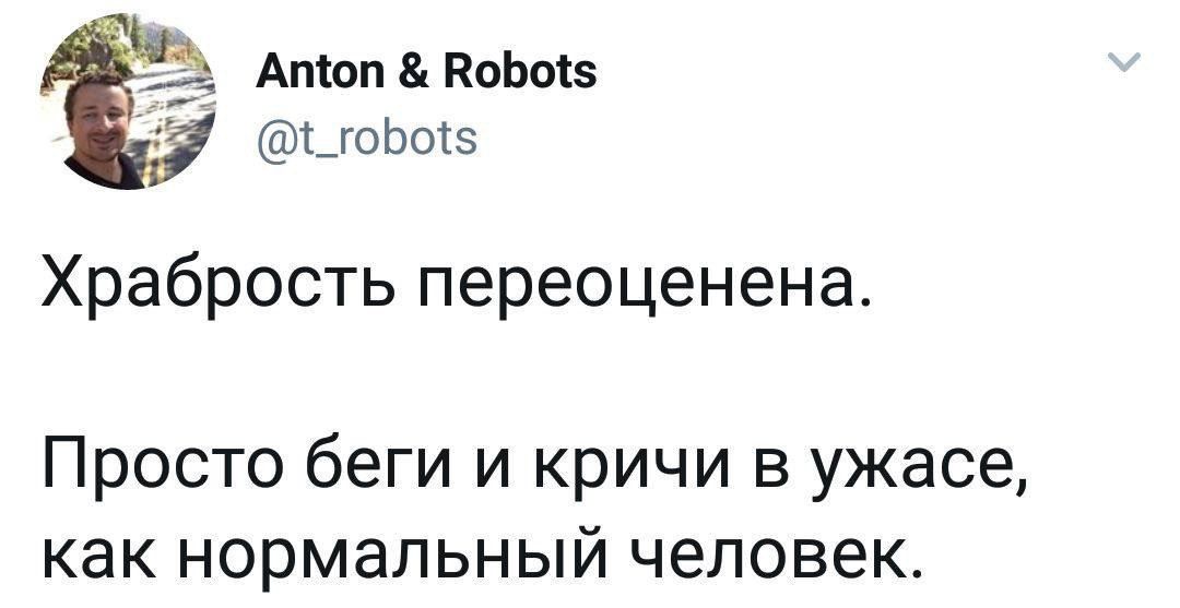 Храбрость переоценена. Просто беги и кричи в ужасе, как нормальный человек.