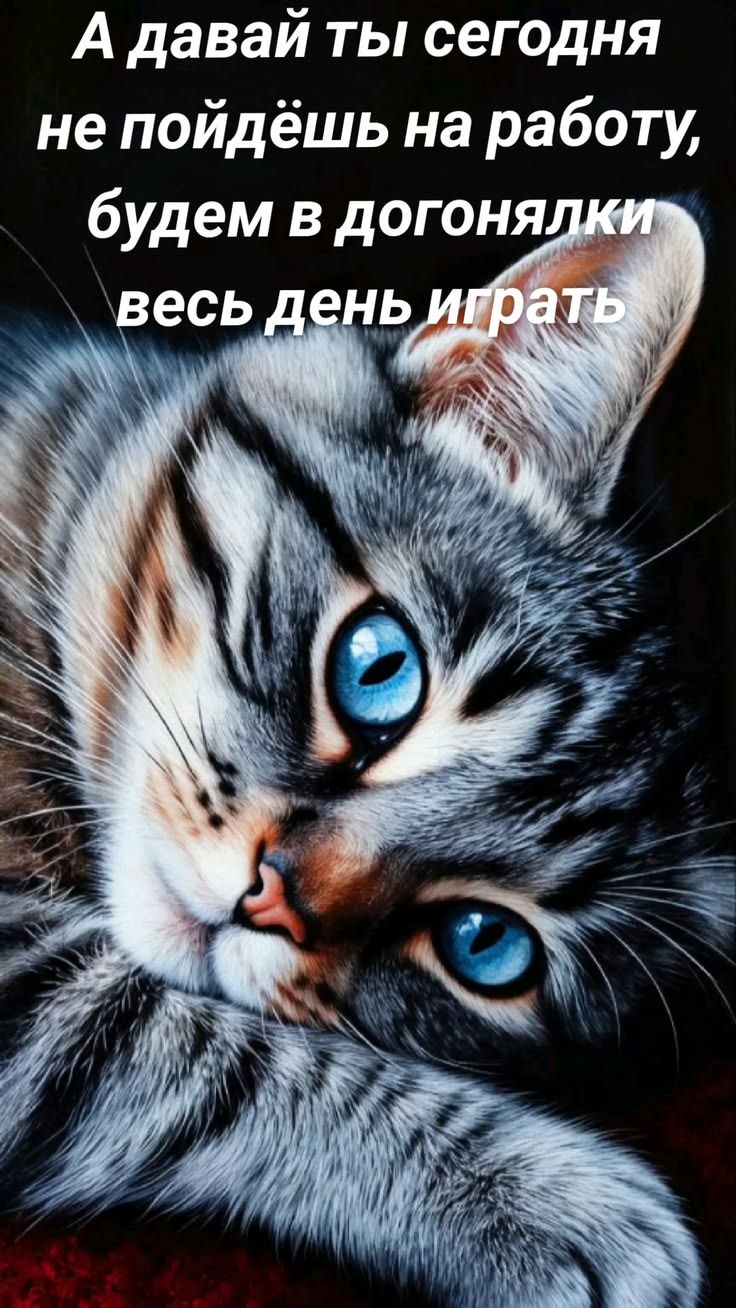 А давай ты сегодня не пойдёшь на работу, будем в догонялки весь день играть