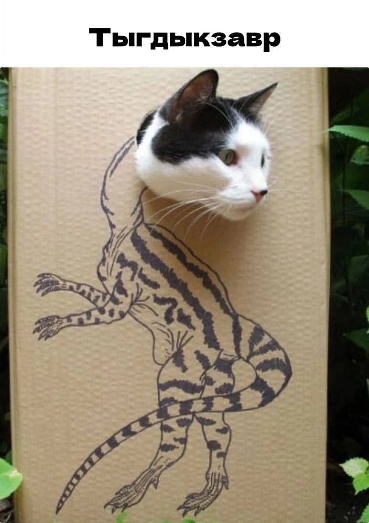 Тыгдыкзавр