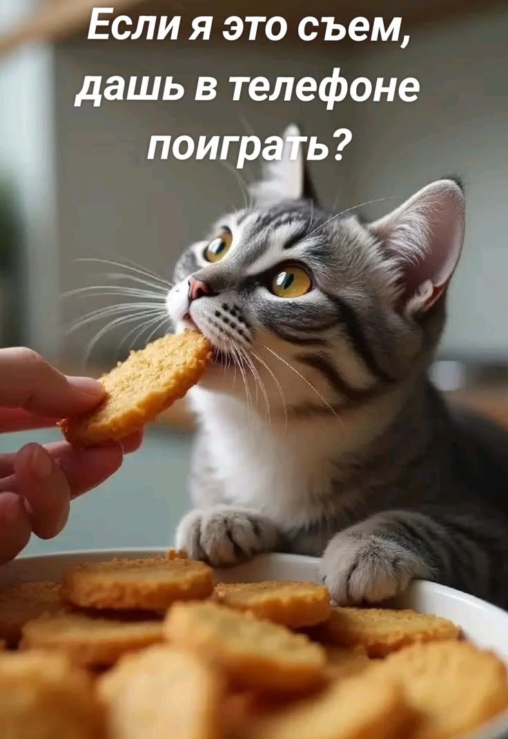 Если я это съем, дашь в телефоне поиграть?