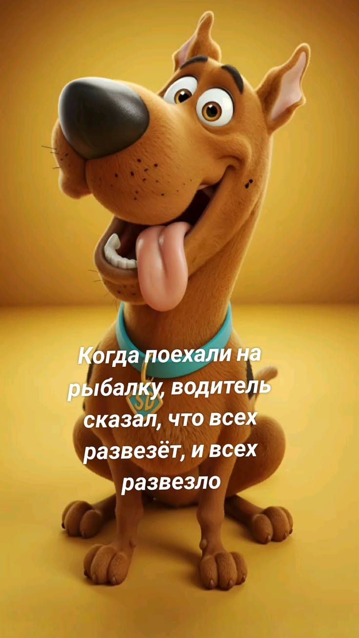 Когда поехали на рыбалку, водитель сказал, что всех развезёт, и всех развезло