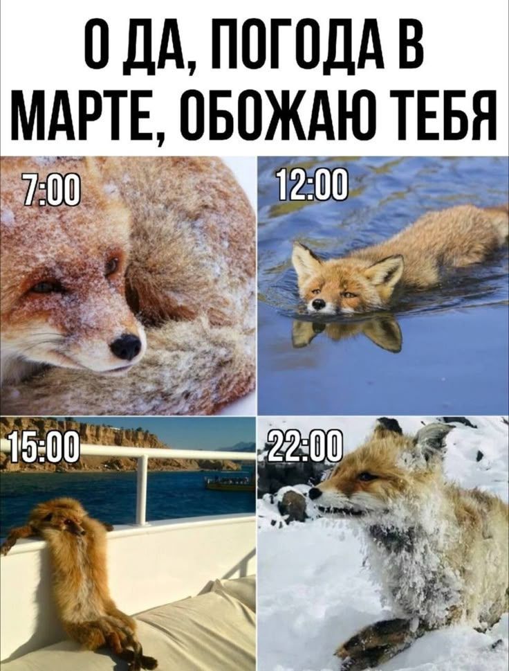О да, погода в марте, обожаю тебя
7:00 12:00 15:00 22:00