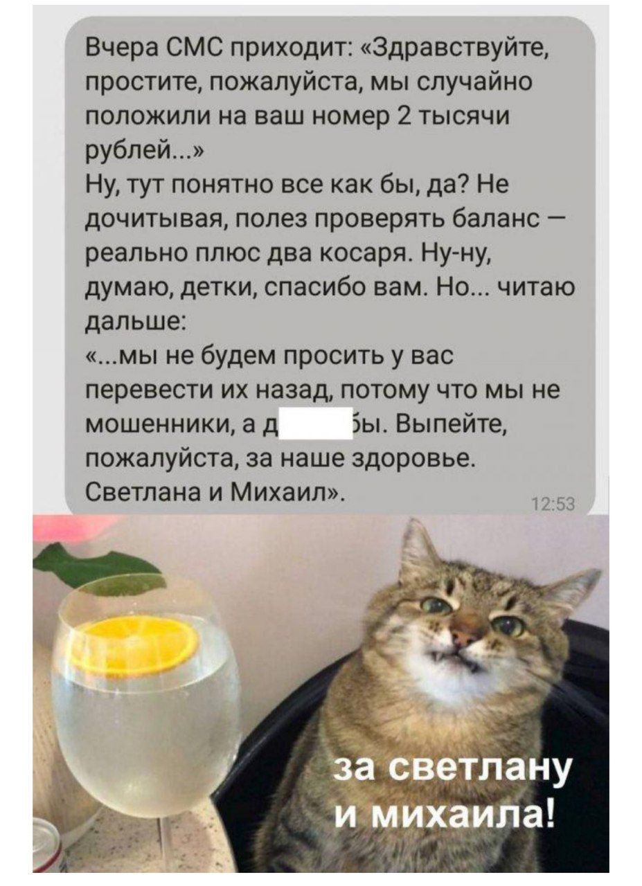Вчера СМС приходит: «Здравствуйете, простите, пожалуйста, мы случайно положили на ваш номер 2 тысячи рублей...» Ну, тут понятно все как бы, да? Не дочитывая, полез проверить баланс — реально плюс два косаря. Ну-ну, думаю, детки, спасибо вам. Но... читаю дальше: «...мы не будем просить у вас перевести их назад, потому что мы не мошенники, а д... вы. Выпейте, пожалуйста, за наше здоровье. Светлана и Михаил».