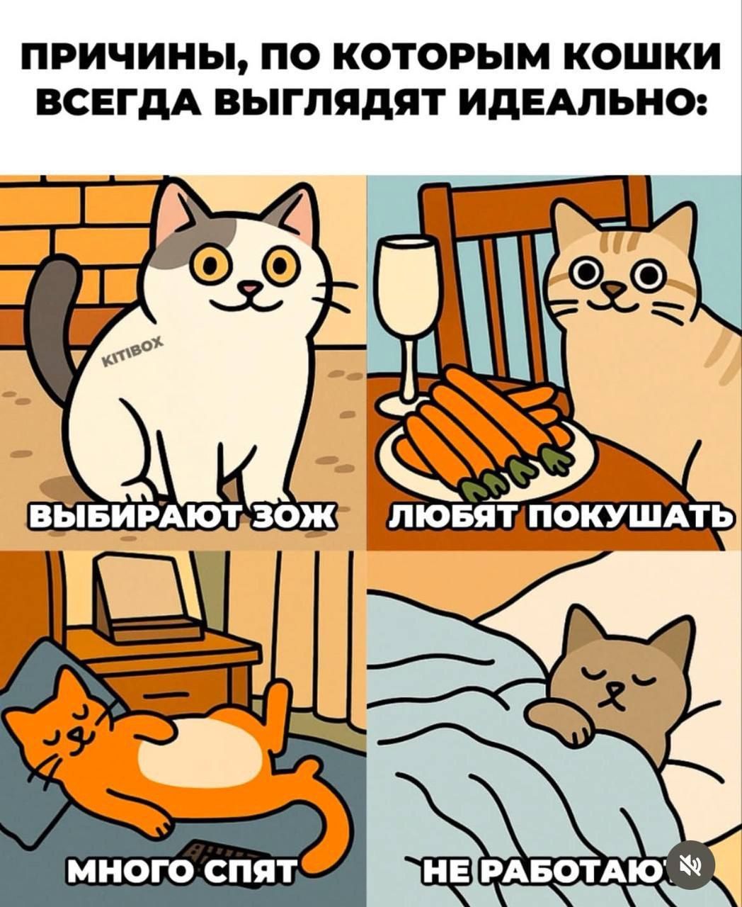 ПРИЧИНЫ, ПО КОТОРЫМ КОШКИ ВСЕГДА ВЫГЛЛЯДЯТ ИДЕАЛЬНО: ВЫБИРАЮТ ЗОЖ, ЛЮБЯТ ПОКУШАТЬ, МНОГО СПЯТ, НЕ РАБОТАЮТ