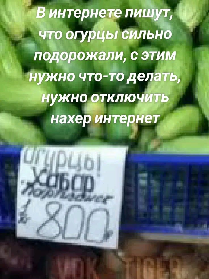 В интернете пишут, что огурцы сильно подорожали, с этим нужно что‑то делать, нужно отключить нахер интернет