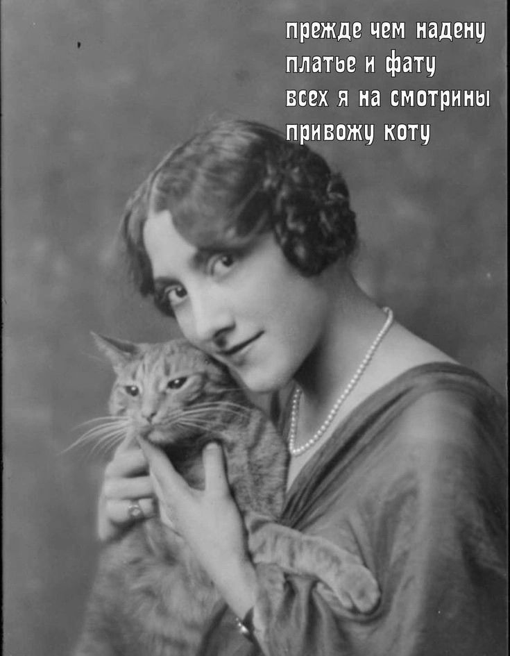 прежде чем надену платьье и фату всех я на смотрины привожу коту
