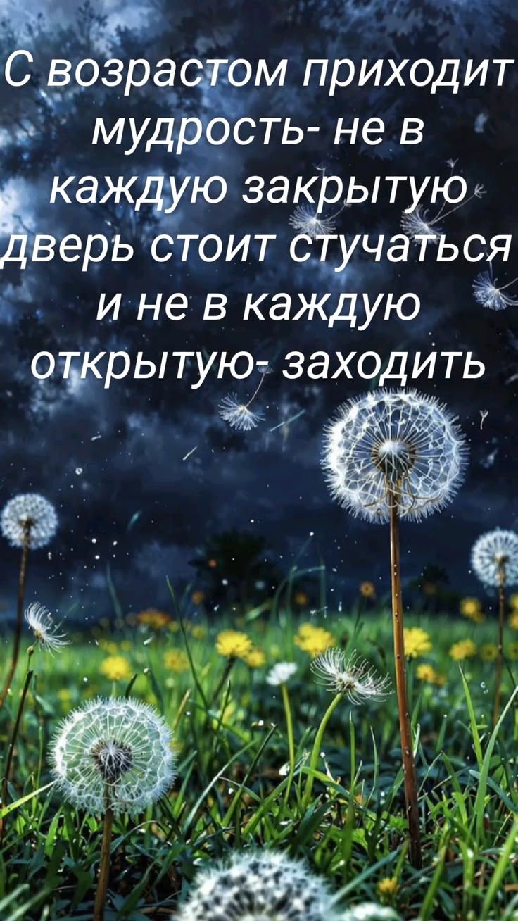 С возрастом приходит мудрость- не в каждую закрытую дверь стоит стучаться и не в каждую открытую- заходить