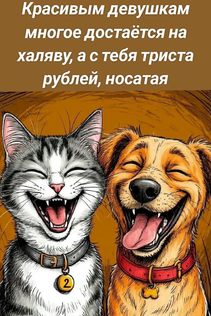 Красивым девушкам многое достаётся на халяву, а с тебя триста рублей, носатая