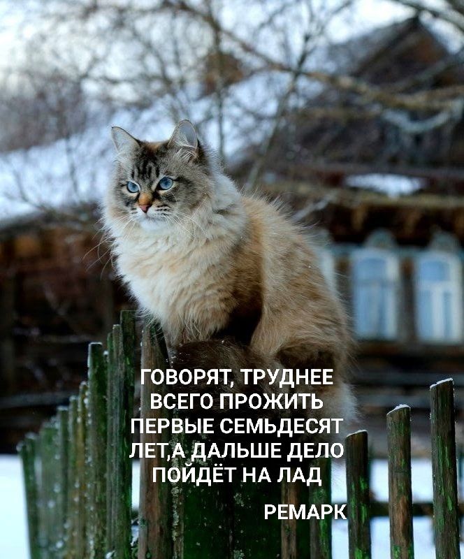 ГОВОРЯТ, ТРУДНЕЕ ВСЕГО ПРОЖИТЬ ПЕРВЫЕ СЕМЬДЕСЯТ ЛЕТ, А ДАЛЬШЕ ДЕЛО ПОЙДЁТ НА ЛАД