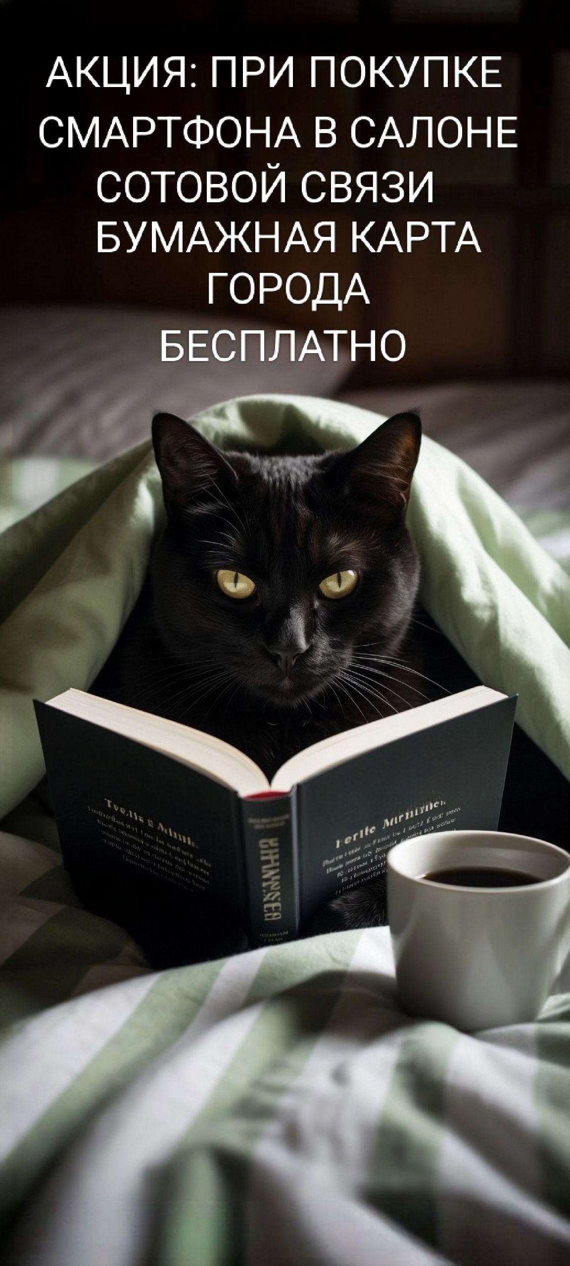 АКЦИЯ: ПРИ ПОКУПКЕ СМАРТФОНА В САЛОНЕ СОТОВОЙ СВЯЗИ БУМАЖНАЯ КАРТА ГОРОДА БЕСПЛАТНО
