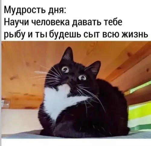 Мудрость дня: Научи человека давать тебе рыбу и ты будешь сыт всю жизнь