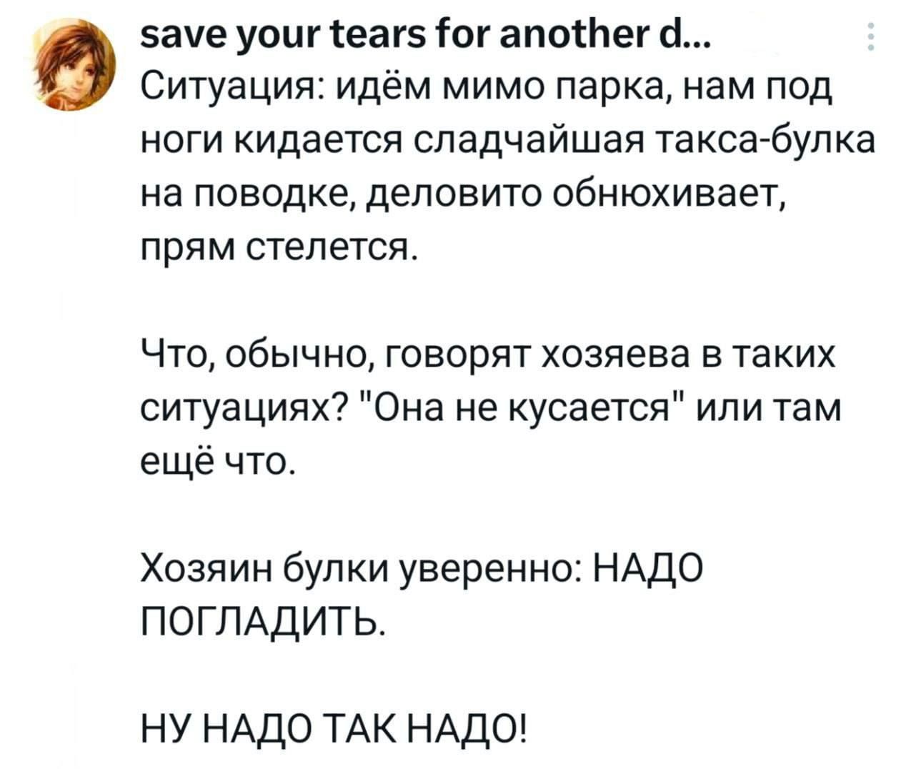 Ситуация: идём мимо парка, нам под ноги кидается сладчайшая такса-булка на поводке, деловито обнюхивает, прямо стелется.\n\nЧто, обычно, говорят хозяева в таких ситуациях? 