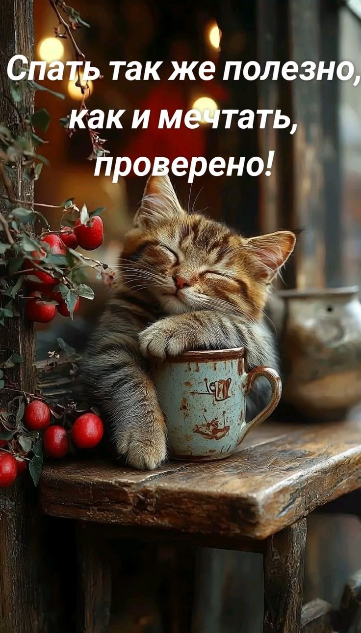 Спать так же полезно, как и мечтать, проверено!