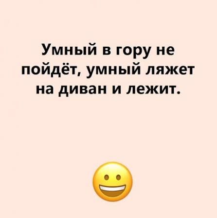 Умный в гору не пойдёт, умный ляжет на диван и лежит.