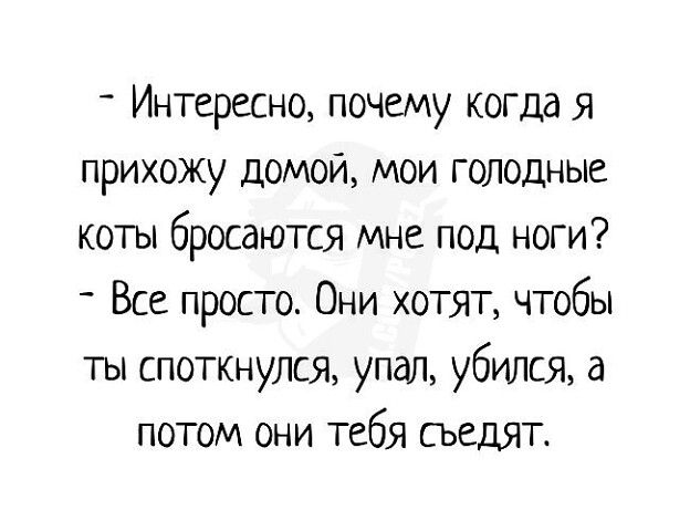 Интересно, почему когда я прихожу домой, мои голодные коты бросаются мне под ноги? - Все просто. Они хотят, чтобы ты споткнулся, упал, убился, а потом они тебя съедят.