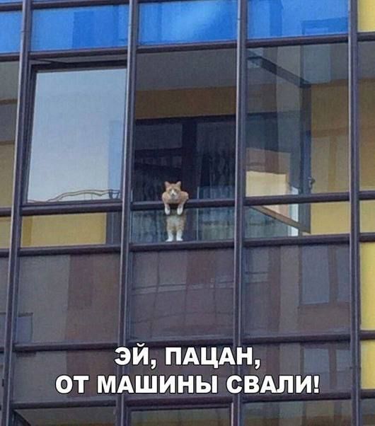 ЭЙ, ПАЦАН, ОТ МАШИНЫ СВАЛИ!