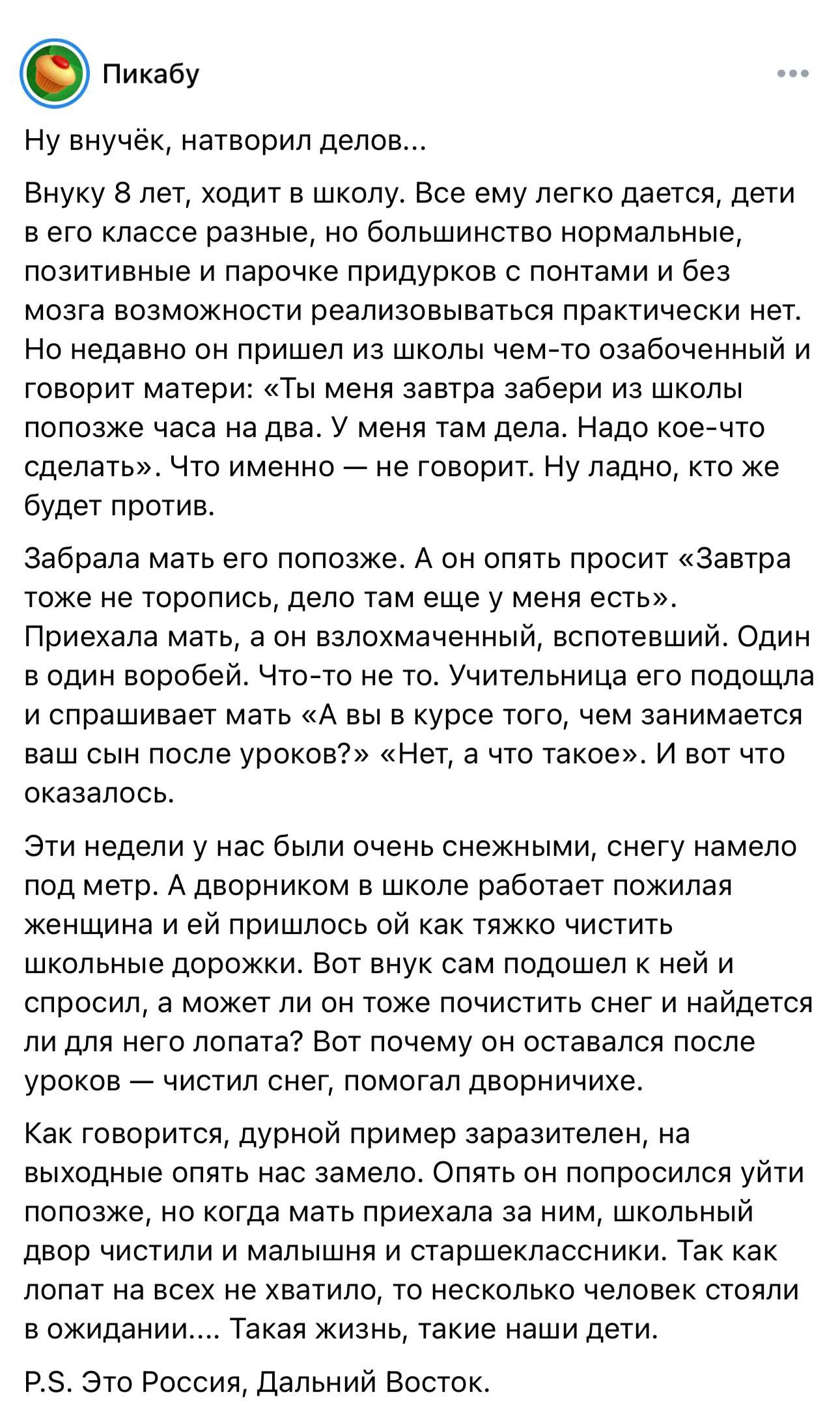 Пикабу
Ну внучёк, натворил делов...
Внуку 8 лет, ходит в школу. Все ему легко дается, дети в его классе разные, но большинство нормальные, позитивные и парочке придурков с понтами и без мозга возможности реализовываться практически нет. Но недавно он пришел из школы чем-то озабоченный и говорит матери: «Ты меня завтра забери из школы попозже часа н
