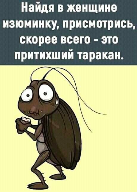 Найдя в женщине изюминку, присмотрись, скорее всего - это притихший таракан.
