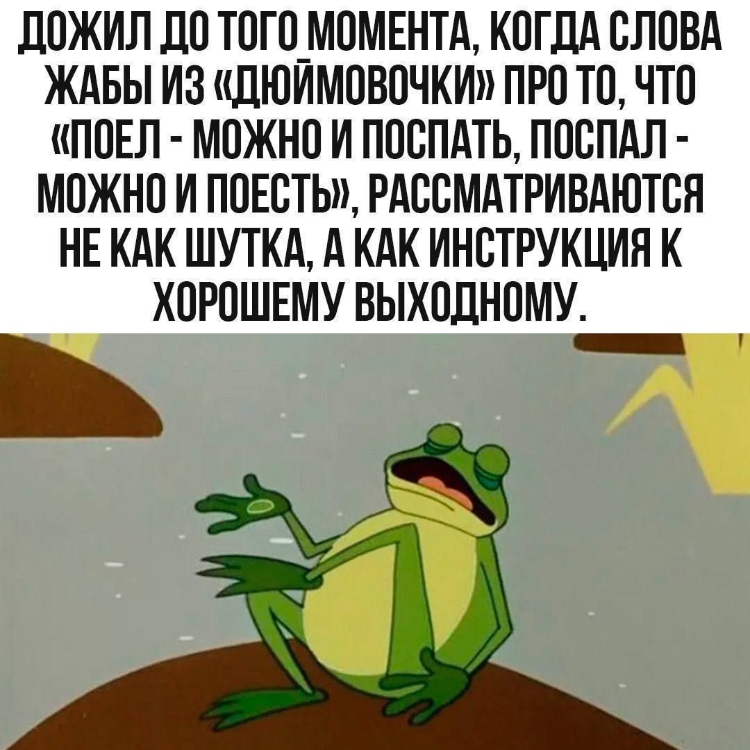 ДОЖИЛ ДО ТОГО МОМЕНТА, КОГДА СЛОВА ЖАБЫ ИЗ «ДЮЙМОВОЧКИ» ПРО ТО, ЧТО «ПОЕЛ - МОЖНО И ПОСПАТЬ, ПОСПАЛ - МОЖНО И ПОЕСТЬ», РАССМАТРИВАЮТСЯ НЕ КАК ШУТКА, А КАК ИНСТРУКЦИЯ К ХОРОШЕМУ ВЫХОДНОМУ.