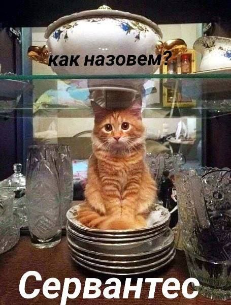 как назовем? Сервантес