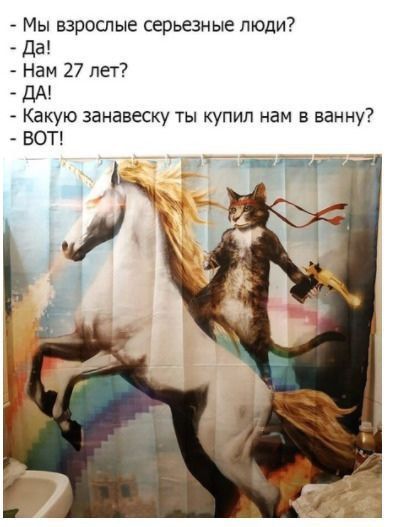 Мы взрослые серьезные люди? Да! Нам 27 лет? ДА! Какую занавеску ты купил нам в ванну? ВОТ!