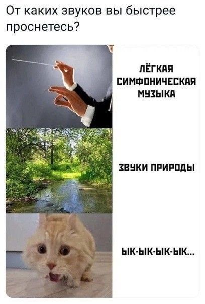 От каких звуков вы быстрее проснетесь? Легкая симфоническая музыка. Звуки природы. Ык-ык-ык-ык...