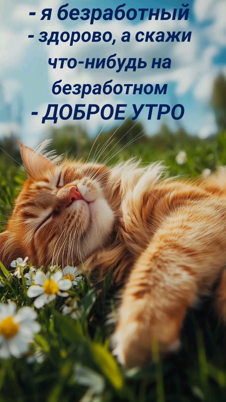 - я безработный - здорово, а скажи что-нибудь на безработном - ДОБРОЕ УТРО