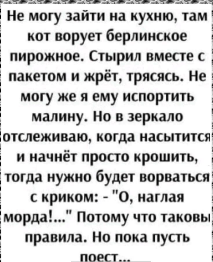 Не могу зайти на кухню, там кот ворует берлинское пирожное. Стырил вместе с пакетом и жрёт, трясясь. Не могу же я ему испортить малину. Но в зеркало отслеживаю, когда насытится и начнёт просто крошить, тогда нужно будет ворваться с криком: - 