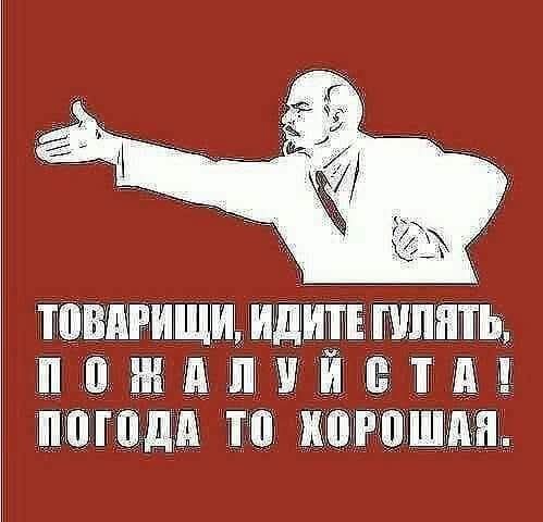 ТОВАРИЩИ, ИДИТЕ ГУЛЯТЬ, ПОЖАЛУЙСТА! ПОГОДА ТО ХОРОШАЯ.